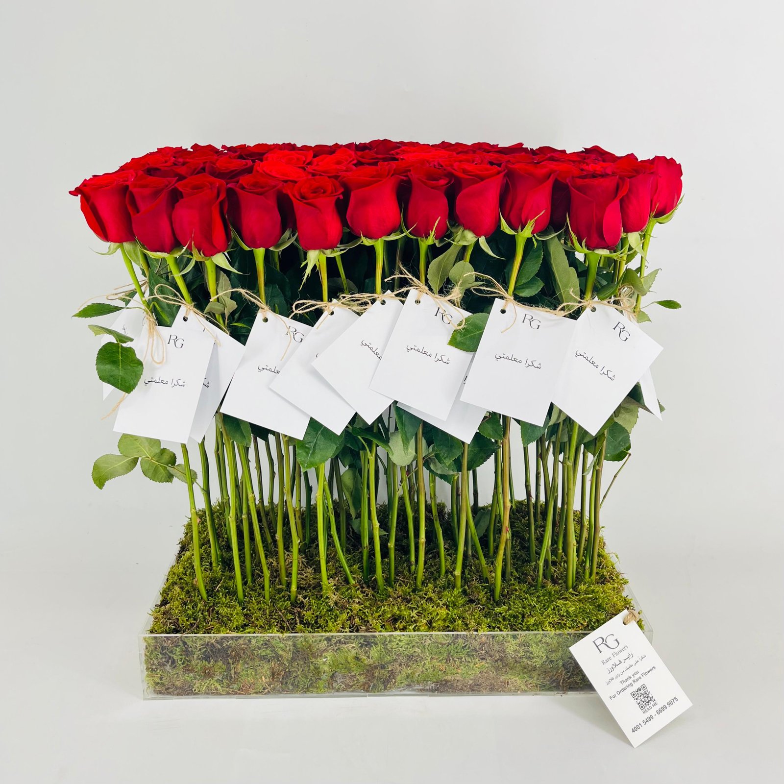 13907 - Image 1