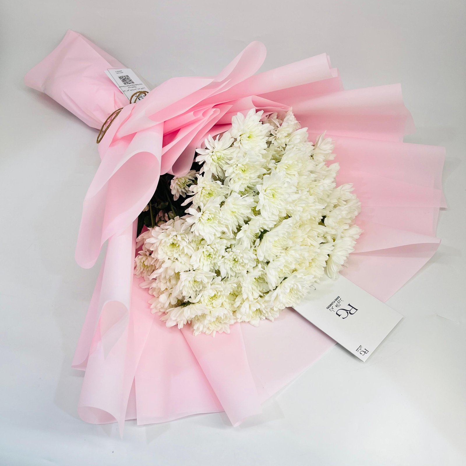10909 - Image 2