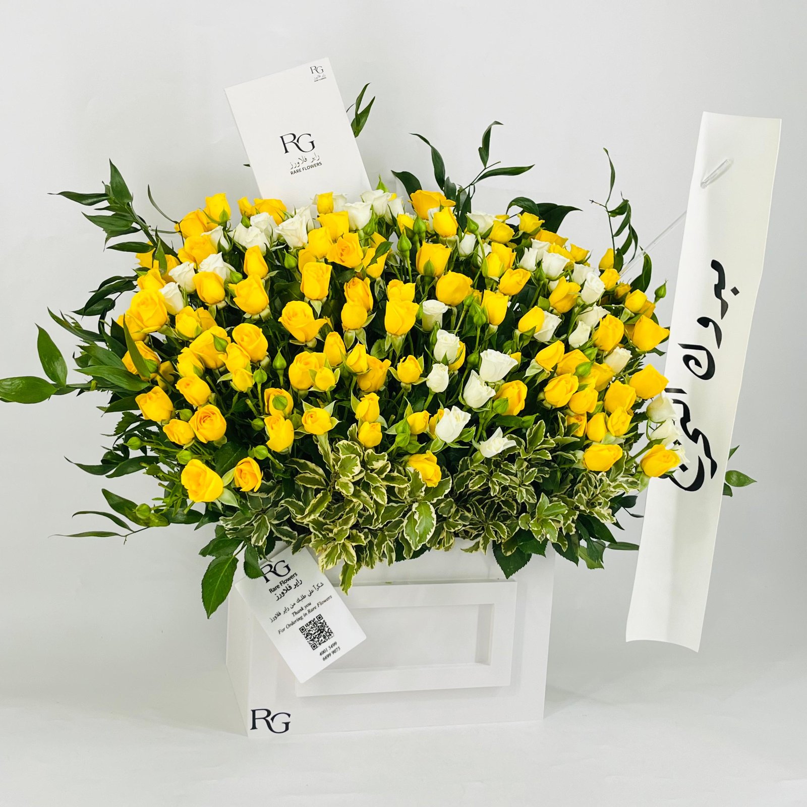 12324 - Image 3