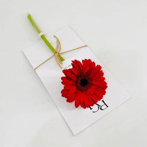 9829 - صورة 1