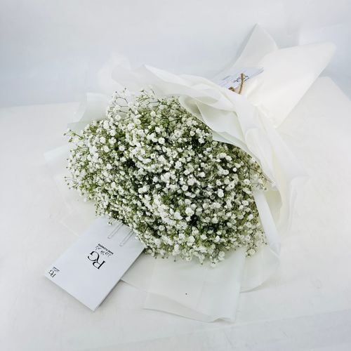 0222 - صورة 2