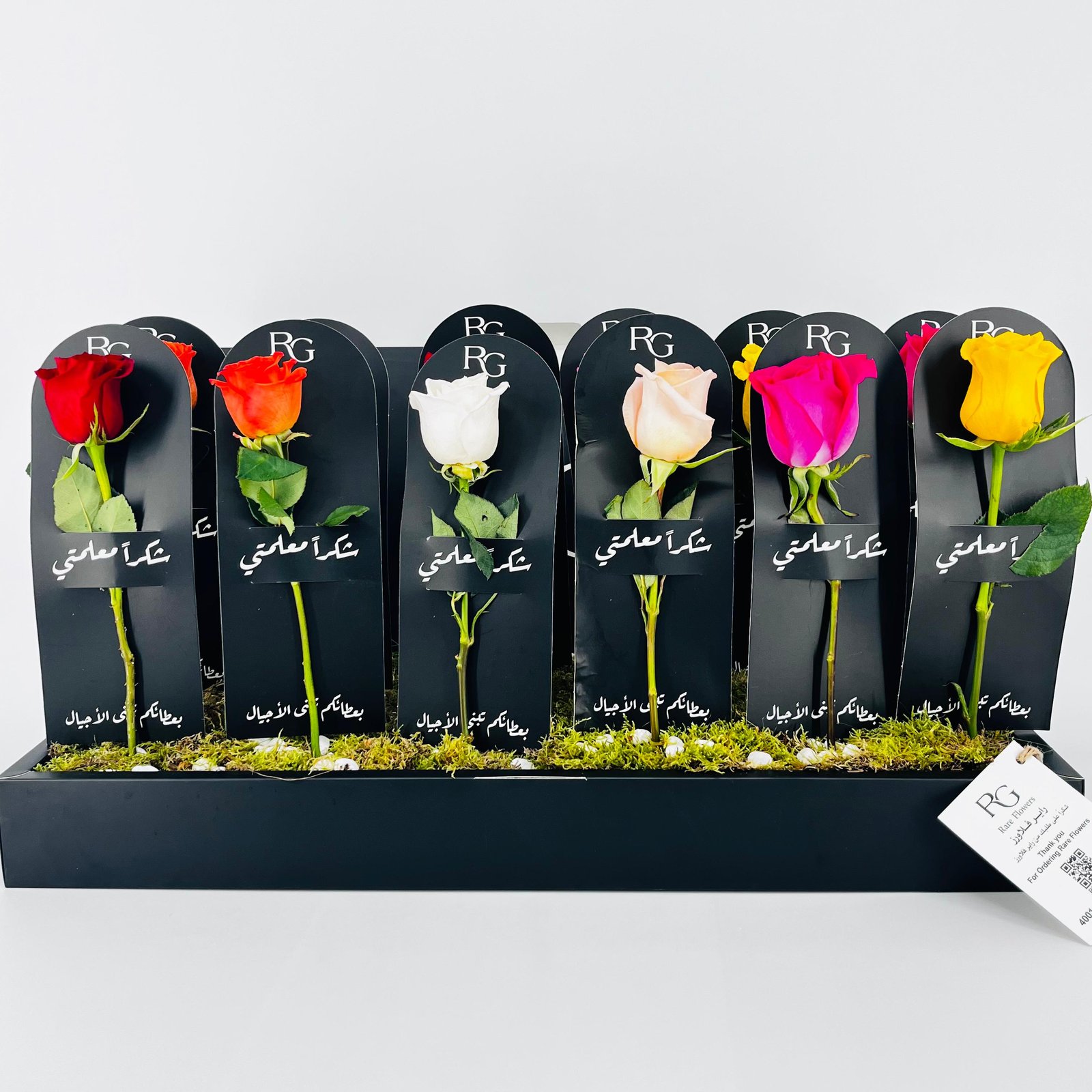 14045 - صورة 4