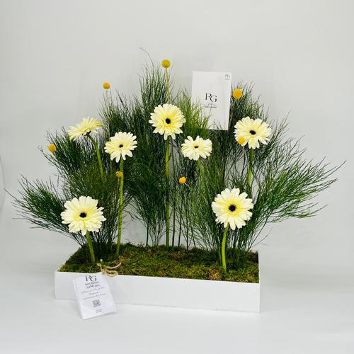 8631 - Image 3
