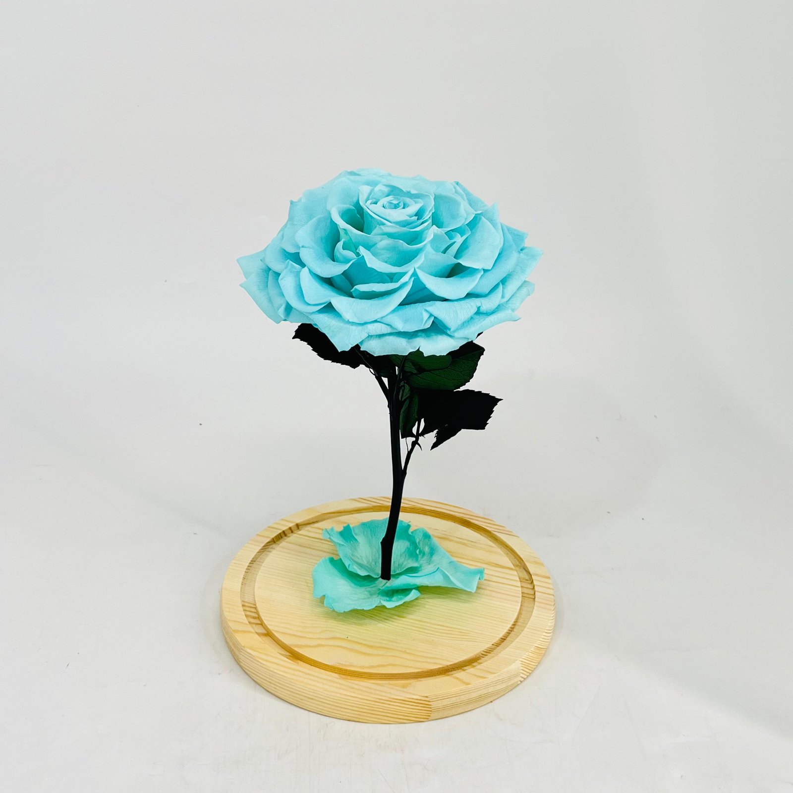 11241 - Image 3