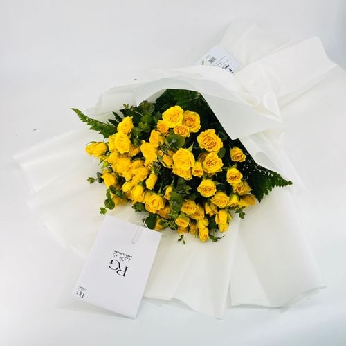 5082 - صورة 2