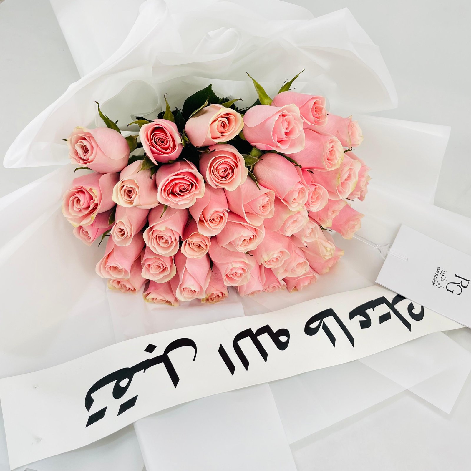 13473 - صورة 4