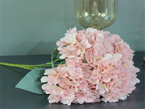 4286 - صورة 1