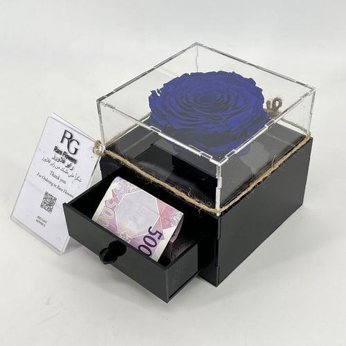 3744 - Image 1