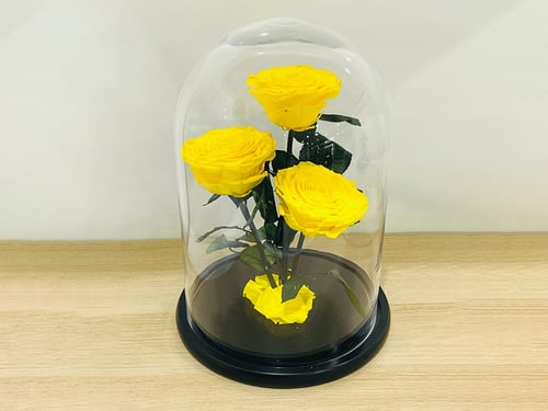 4446 - صورة 1