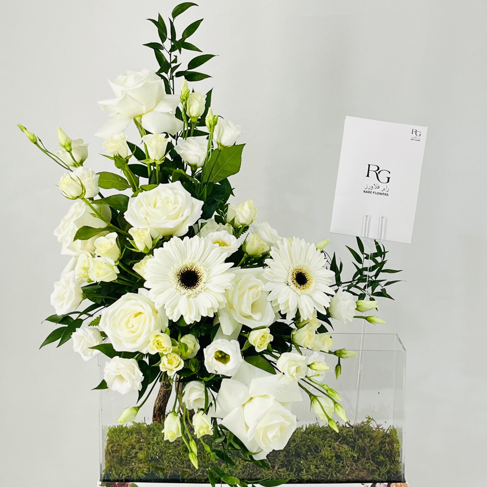 12263 - Image 2