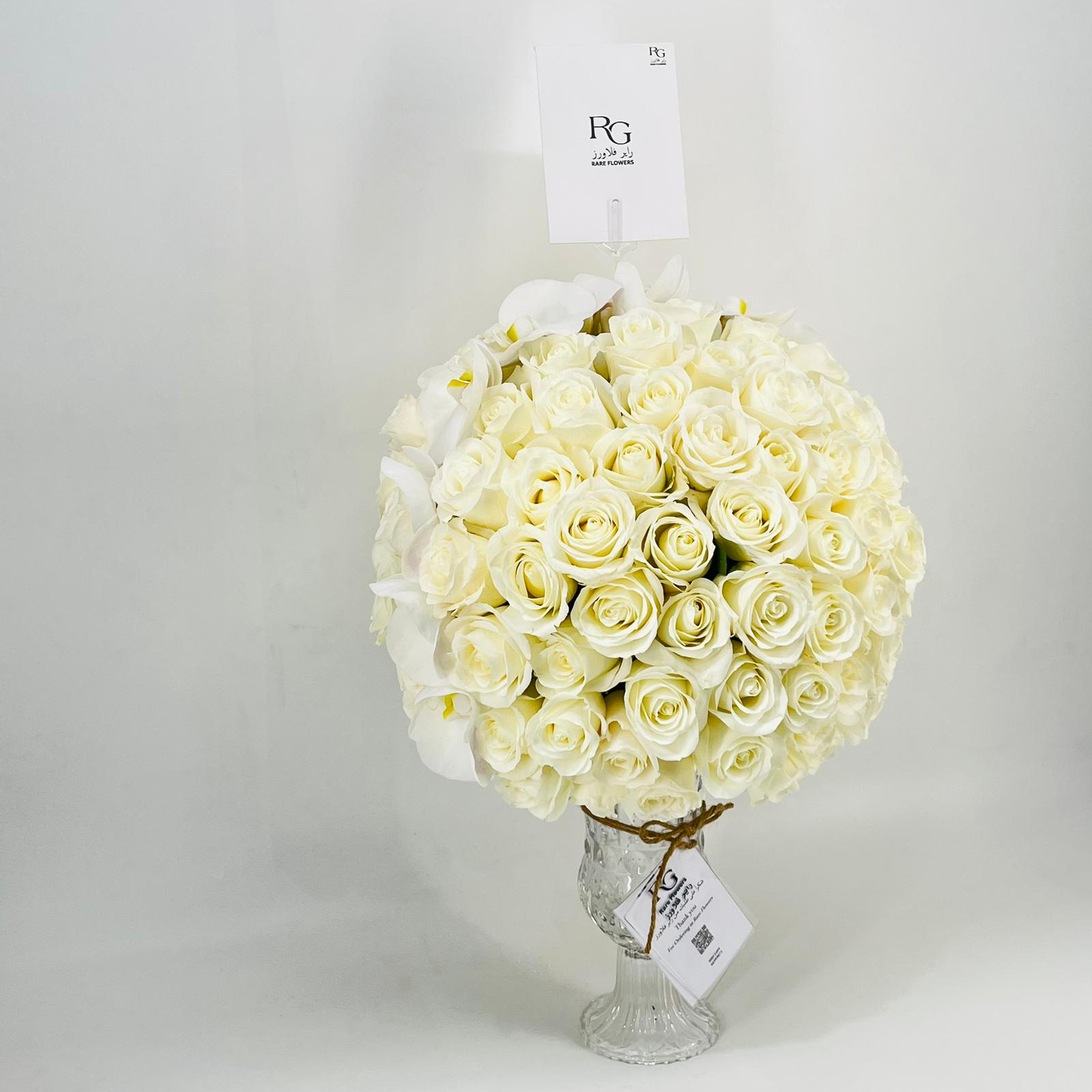 8249 - صورة 2