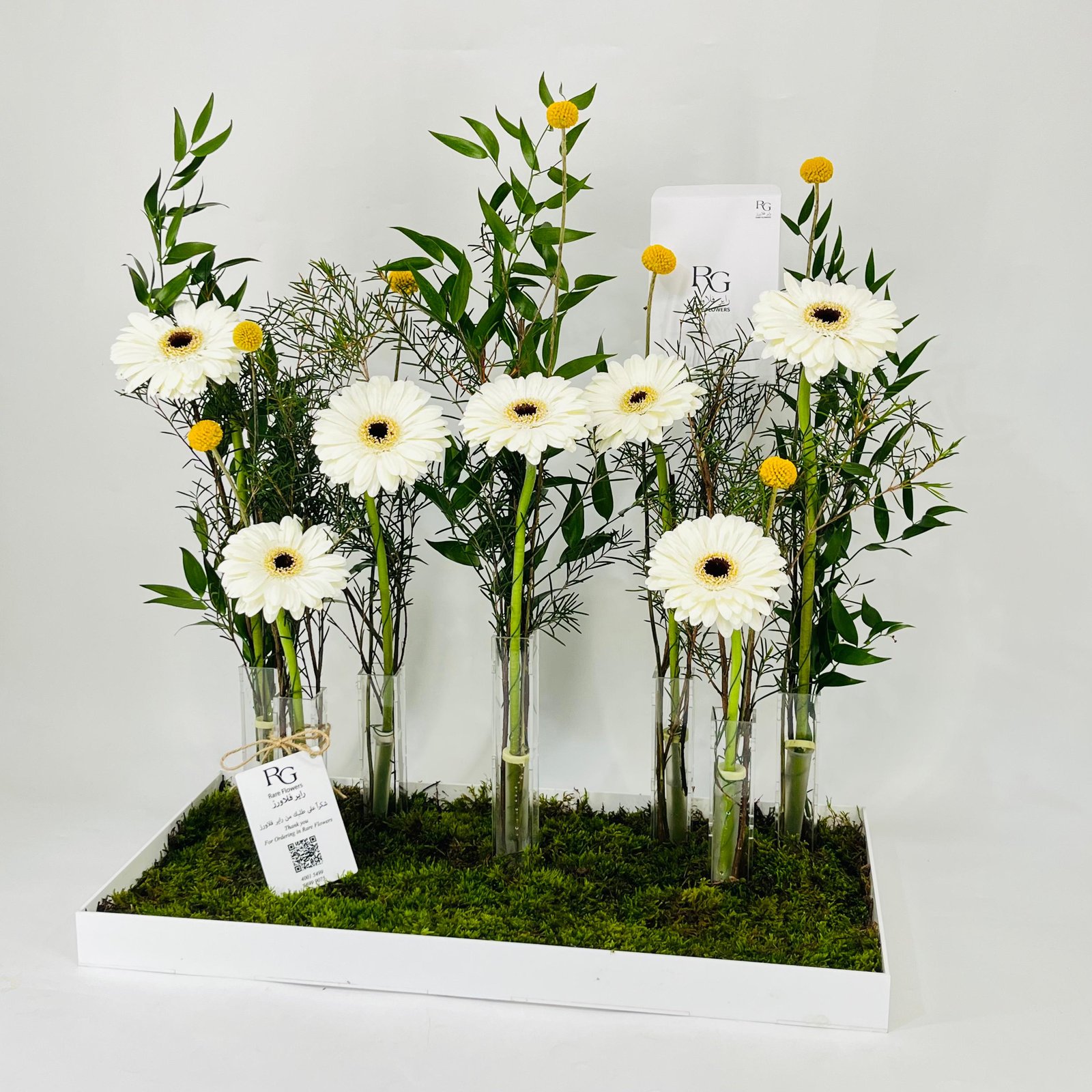 11587 - Image 3