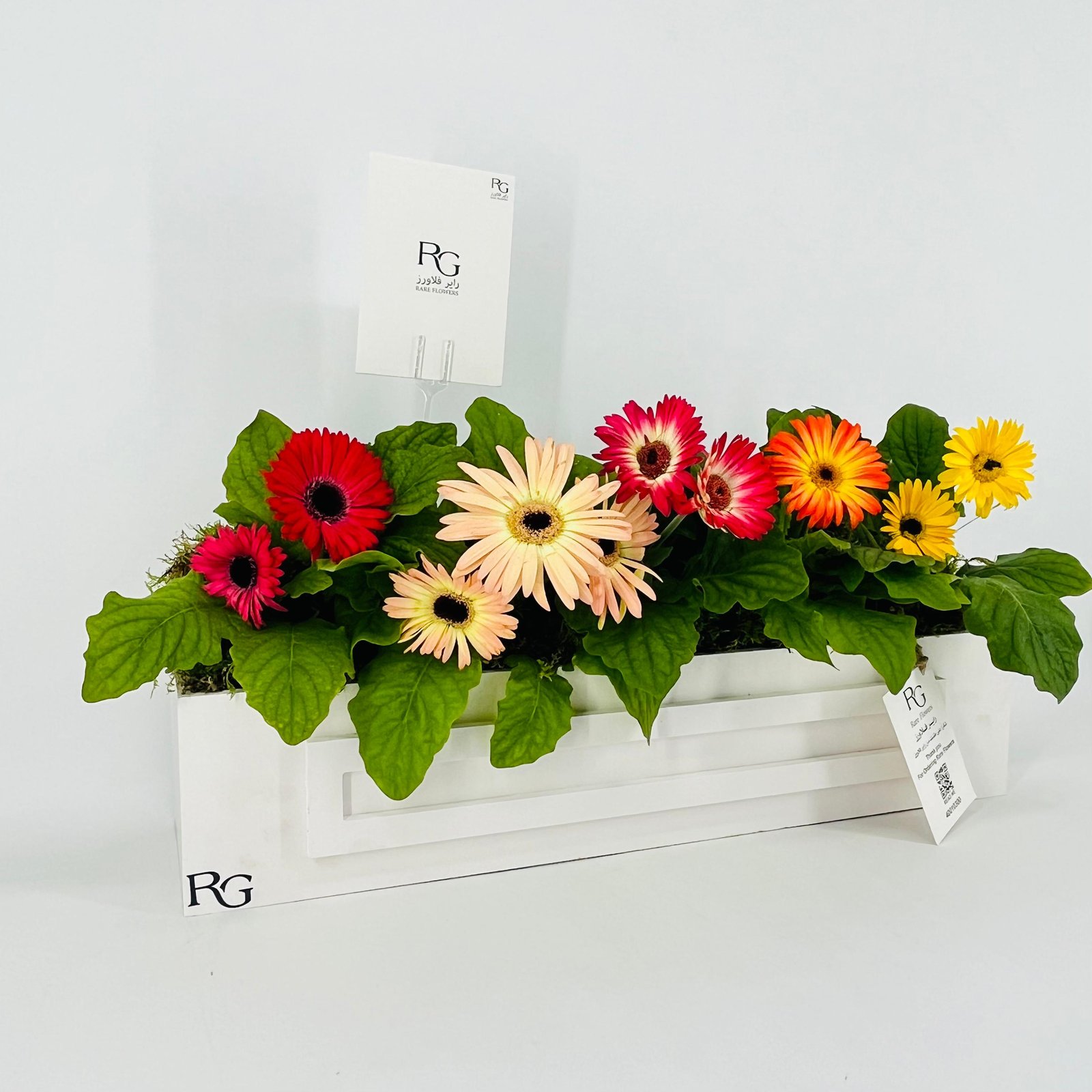 14522 - صورة 2