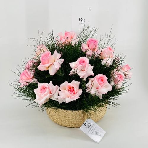 9224 - صورة 2