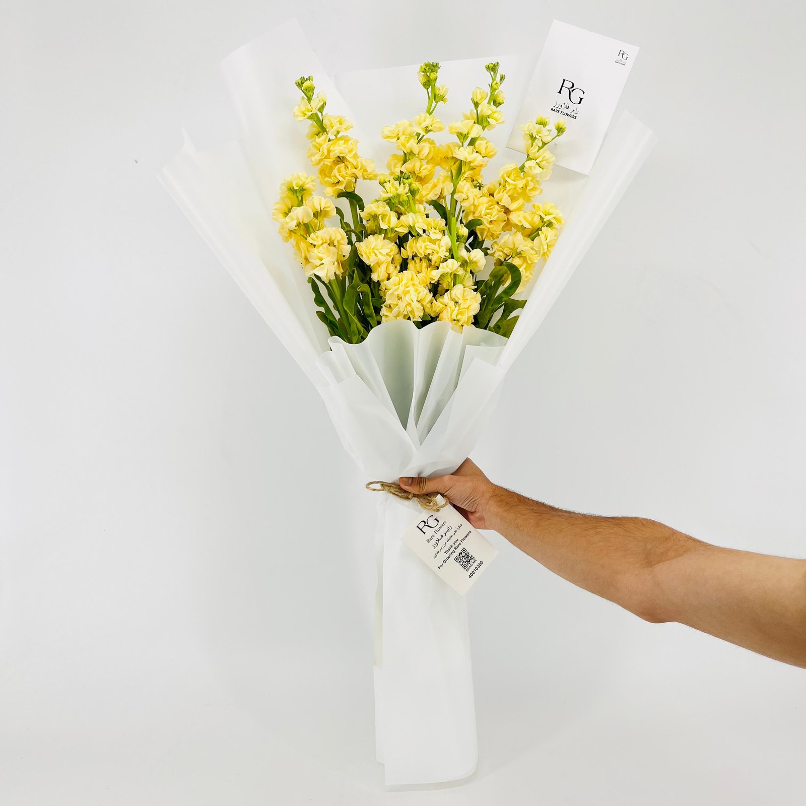 14240 - Image 1