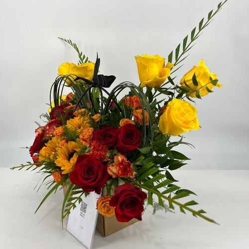 4905 - صورة 2