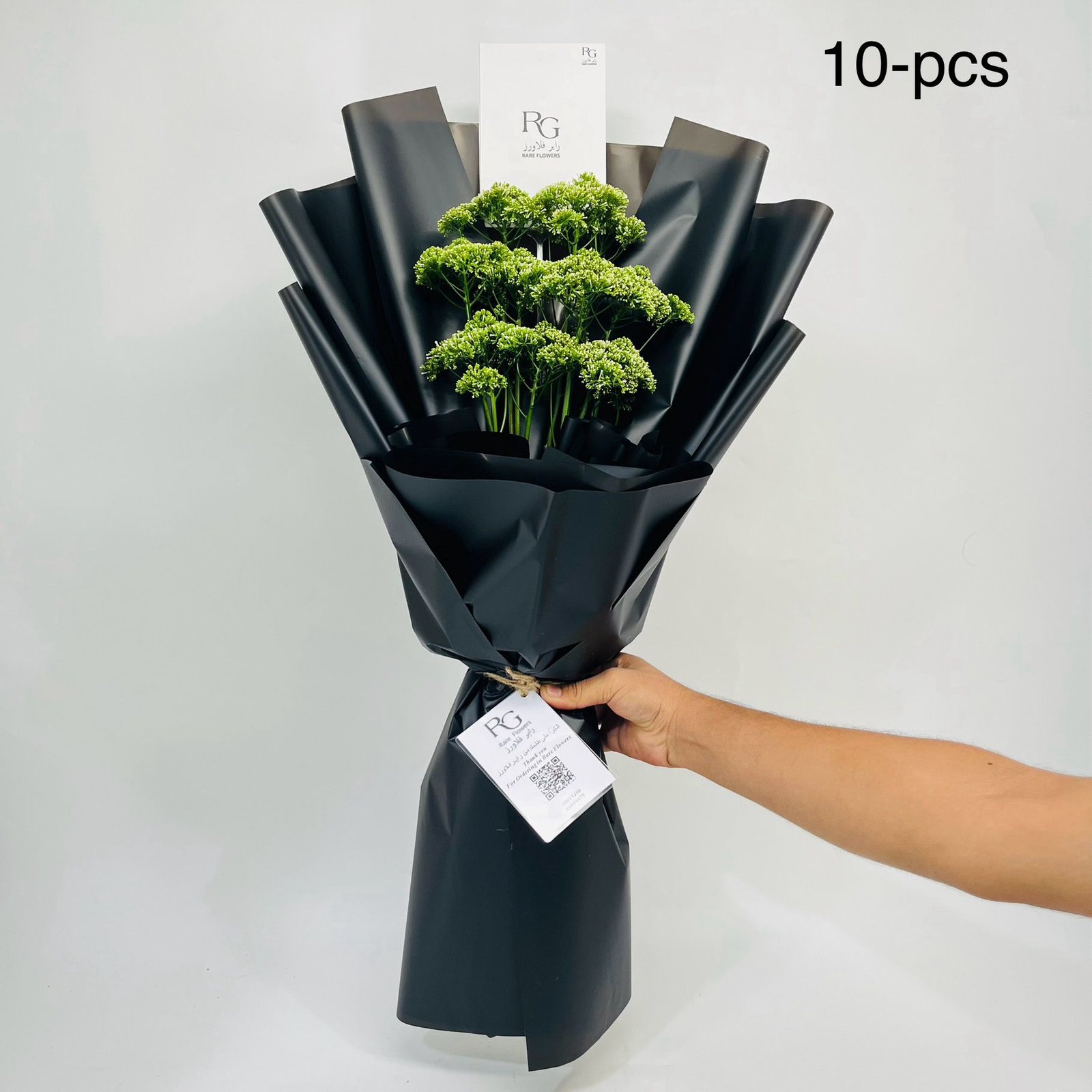 11151 - صورة 2