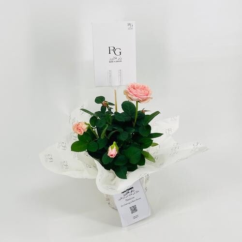 9540-755 - Image 1