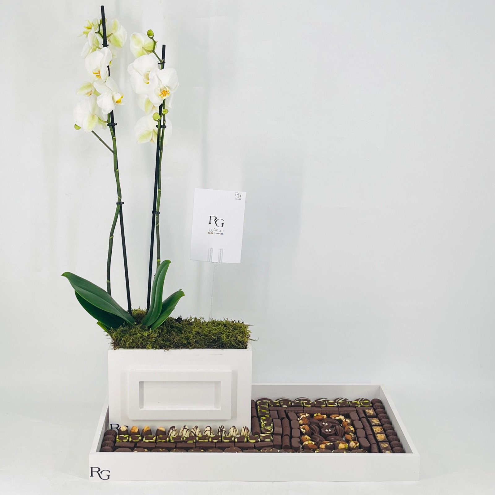 12600 - Image 1