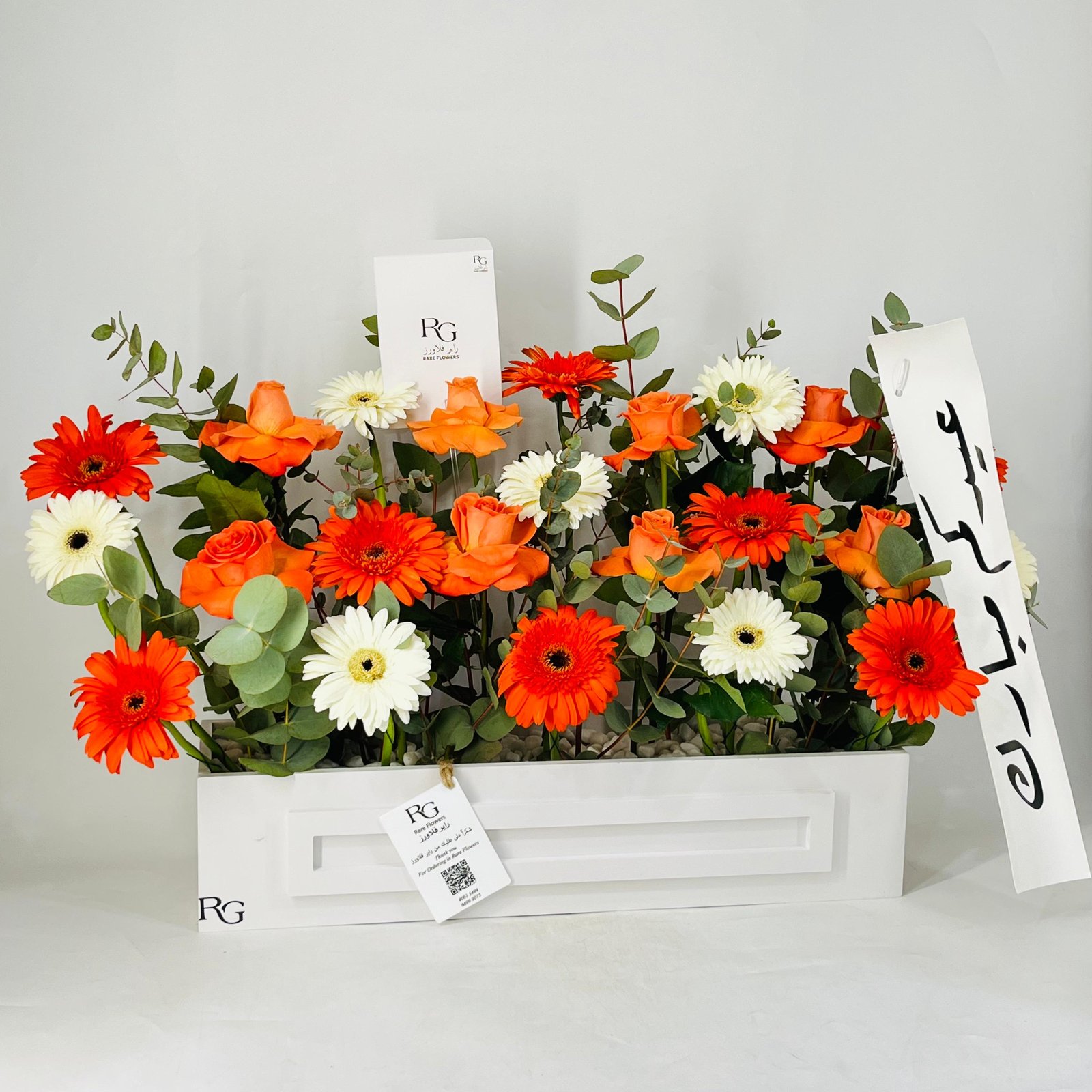 12090 - Image 2