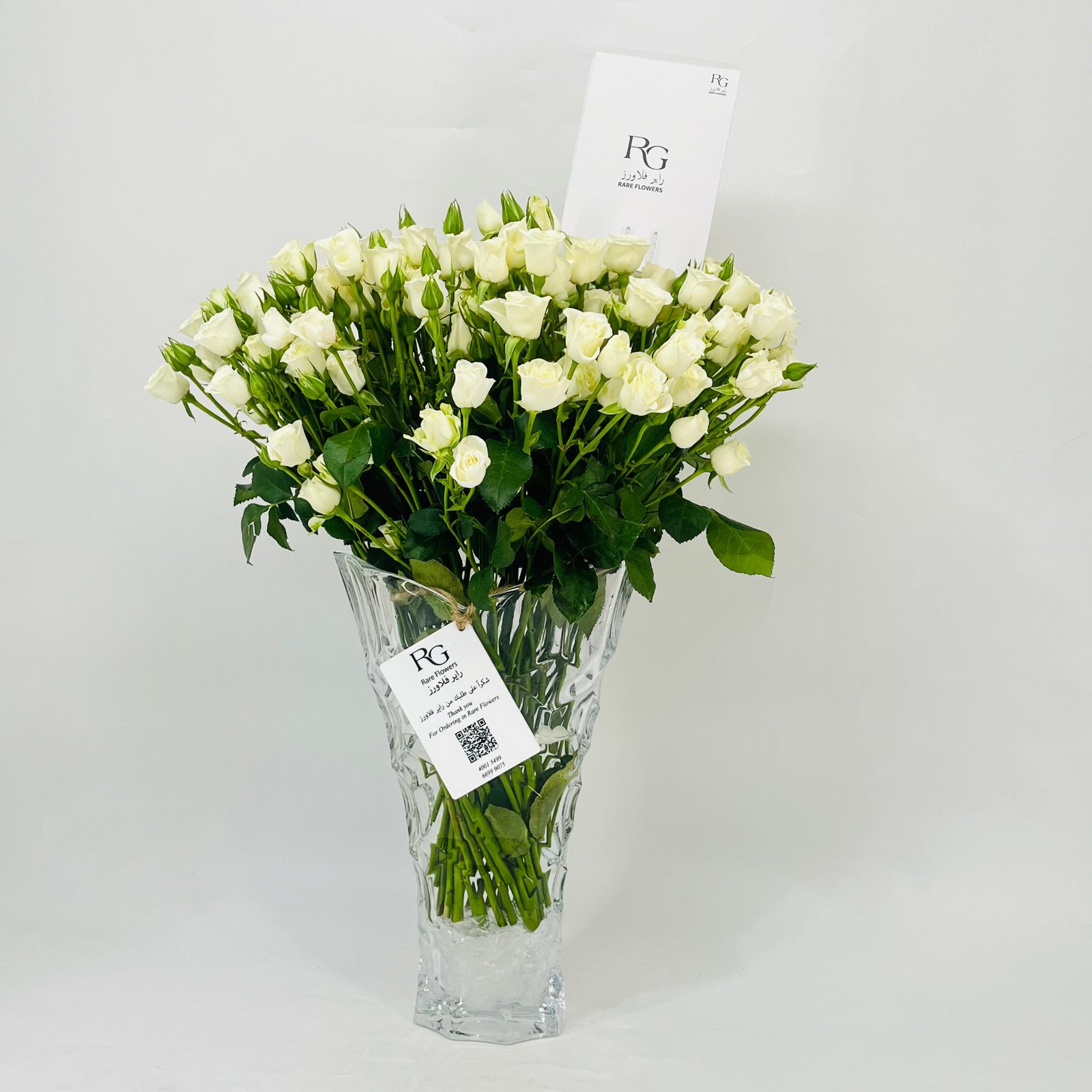 11384 - Image 3