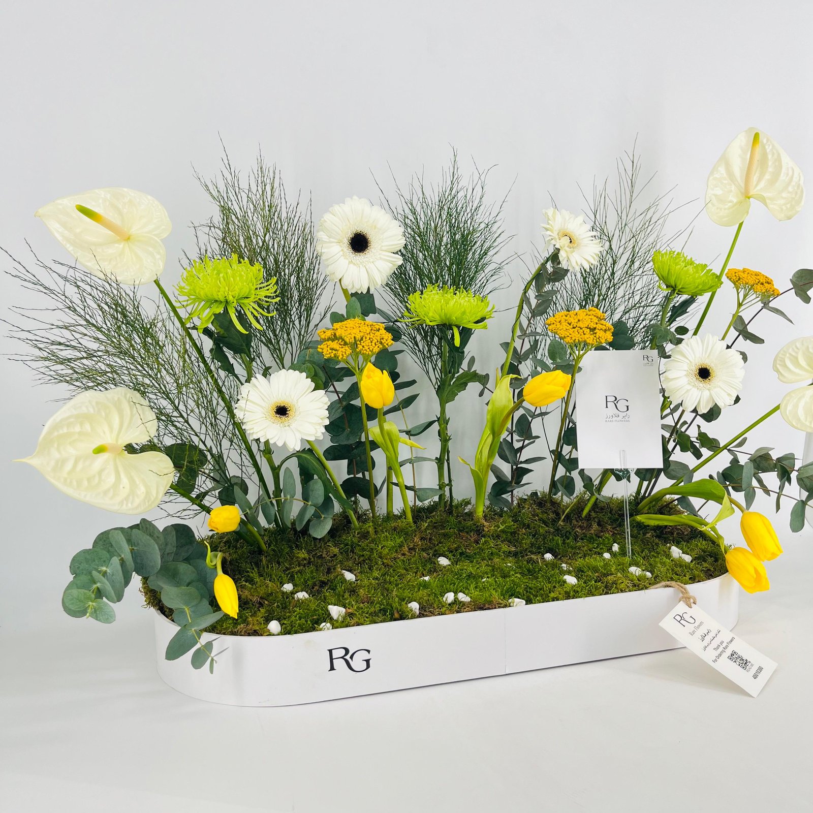 15434 - Image 3