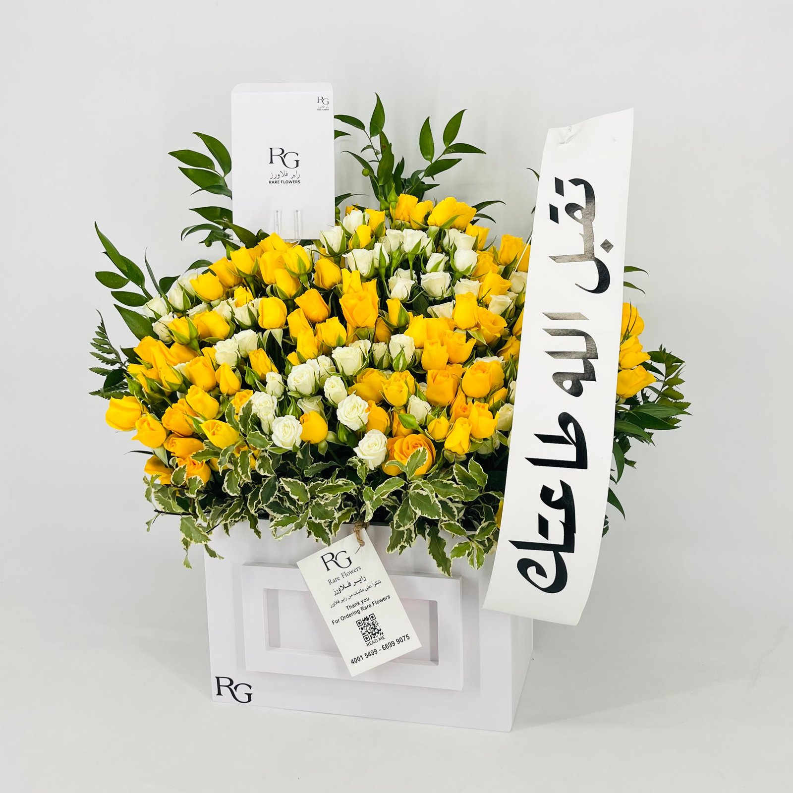 13459 - Image 3