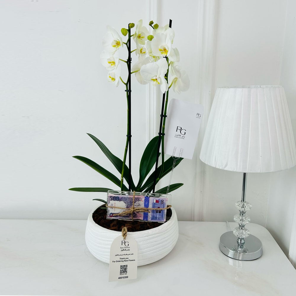 15344 - Image 2