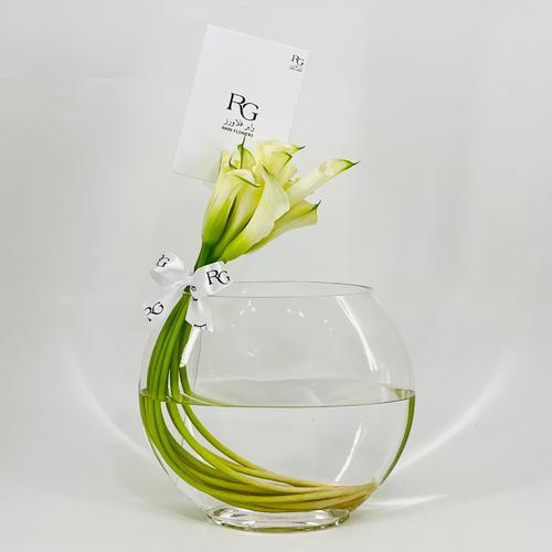 9712N - صورة 1