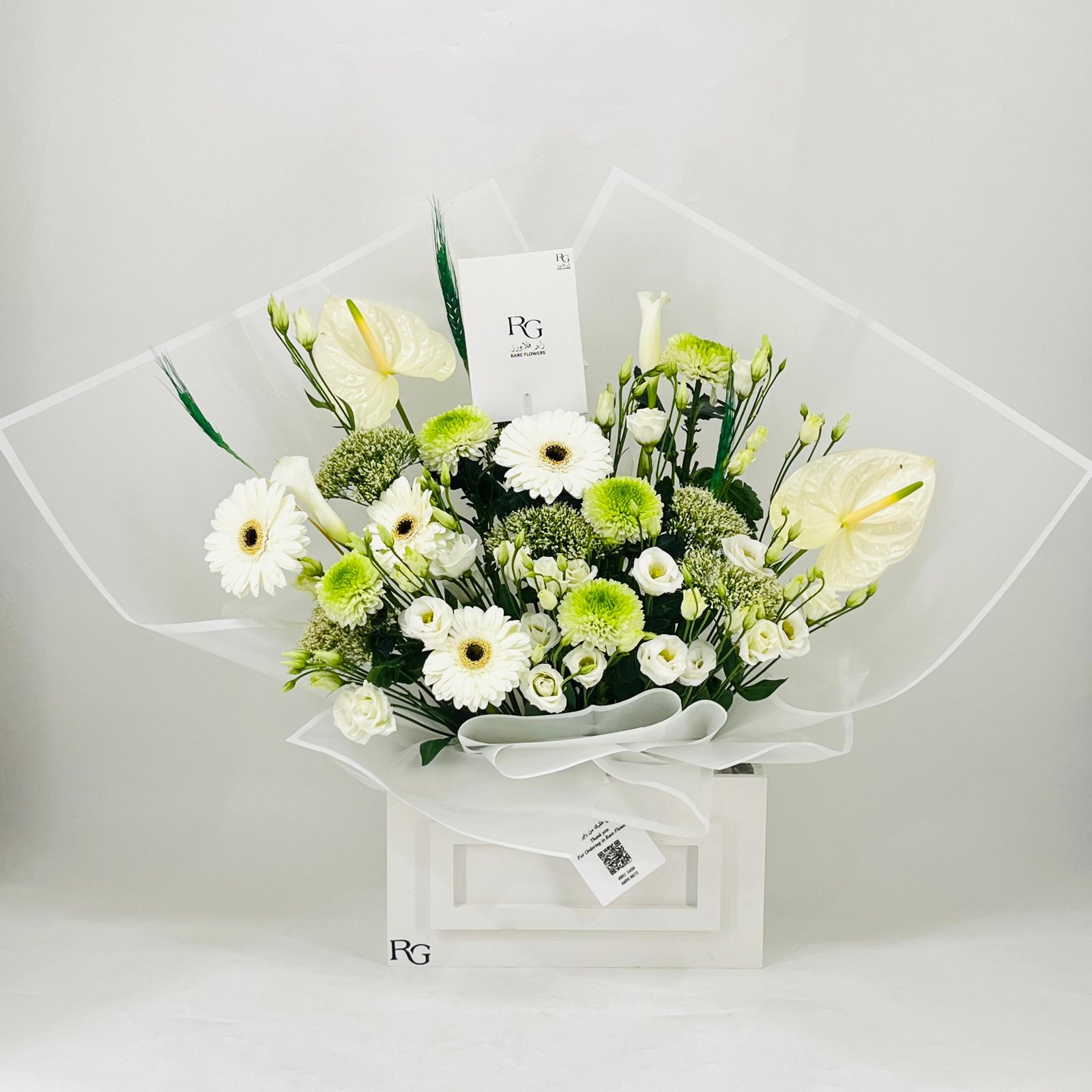 11751 - Image 3
