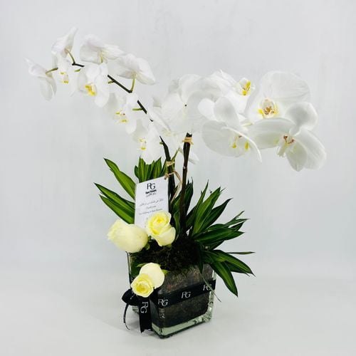 4029 - صورة 2