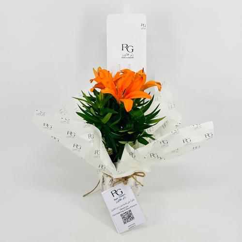 Lily Orange No.9613 - Image 1