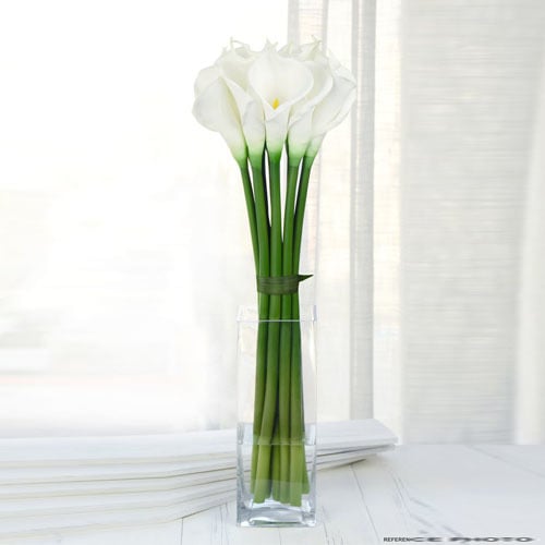 2599 - صورة 1