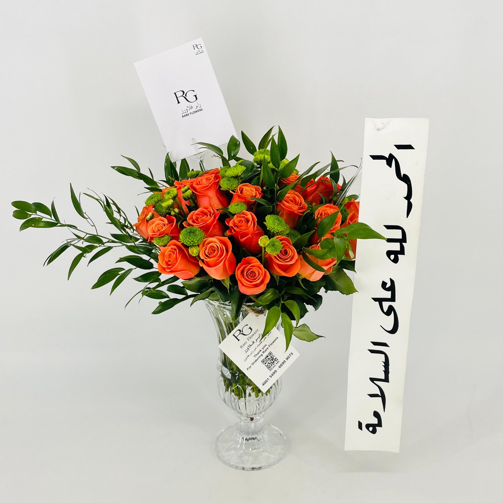 13534 - Image 2