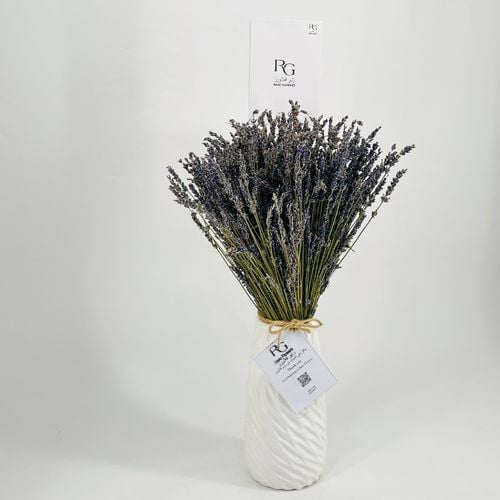 3693 - صورة 2
