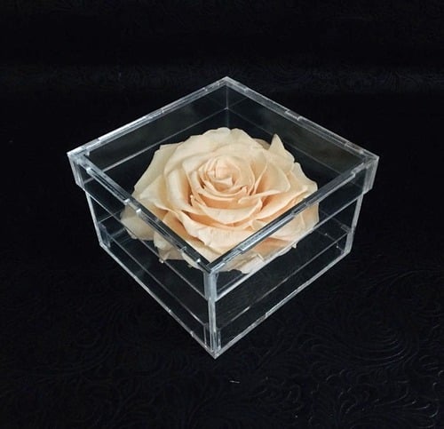 2103 - صورة 1