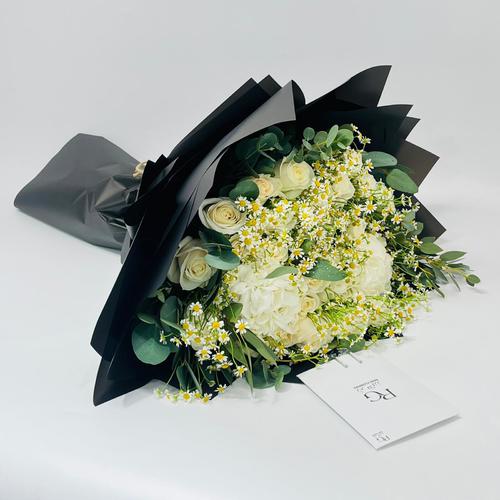 8433 - صورة 1