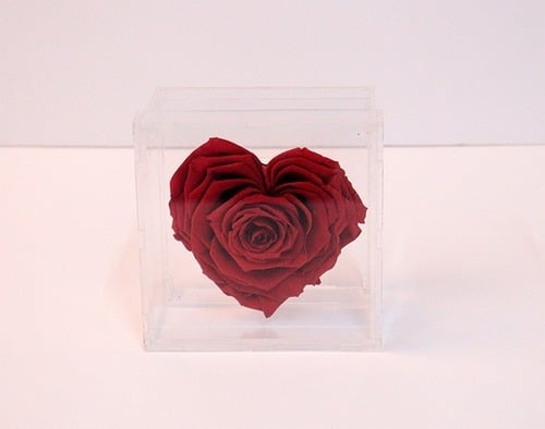 2372 - صورة 1