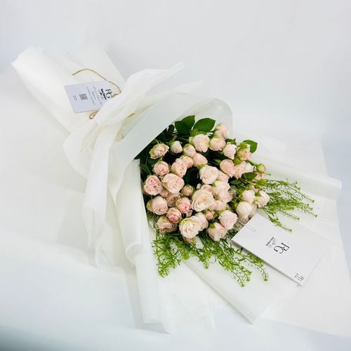 5423 - صورة 1