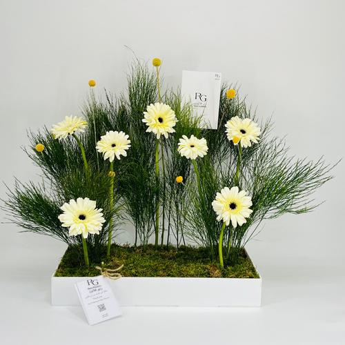 8631 - Image 1