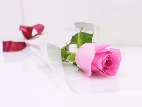0069 - Image 4