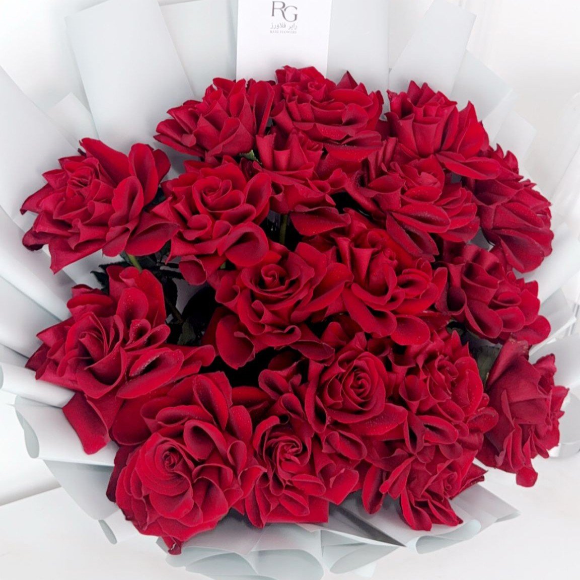 17936 - صورة 2