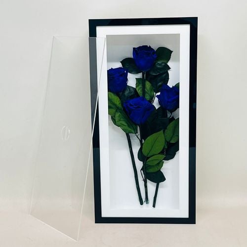 7861 - صورة 1