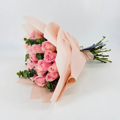 5237 - صورة 2