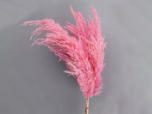 4312 - Image 1