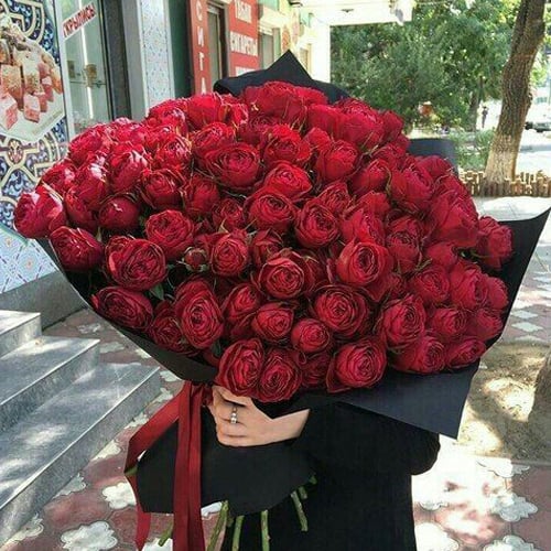 1493 - صورة 1