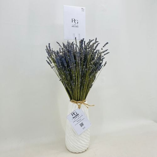 3695 - صورة 2