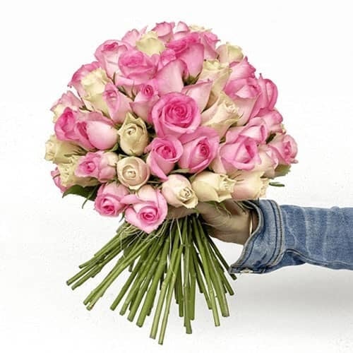 2073 - صورة 1