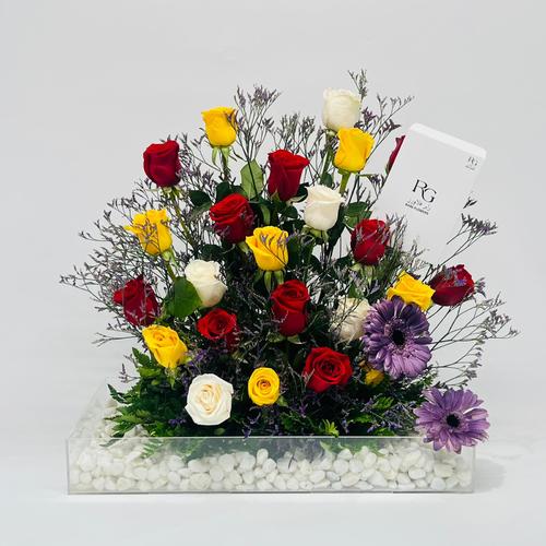 6741 - صورة 1