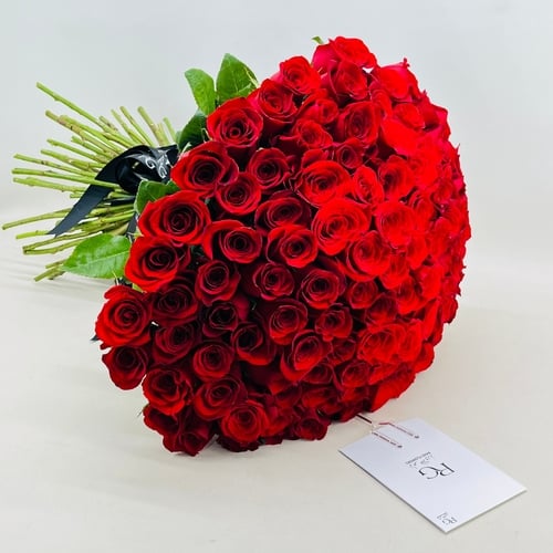 6755 - صورة 1